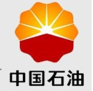 中石油 礼品卡300元(质保时间12小时)