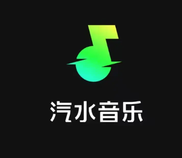 【自动充值】汽水音乐SVIP双年卡（744天）